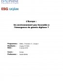 L’Europe : Un environnement peu favorable à l’émergence de géants digitaux ?