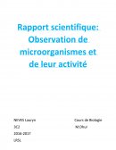 Observation de microorganismes et leur activité