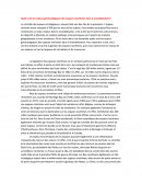 Composition sur les enjeux des espaces maritimes