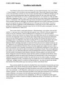 Synthèse individuelle de TPE. Comment les villes répondent-elles aux besoins sécuritaires des populations?