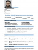 Modèle d'un cv correct