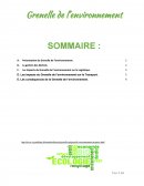 La loi Grenelle de l'environnement