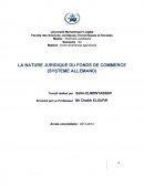 LA NATURE JURIDIQUE DU FONDS DE COMMERCE (SYSTÈME ALLEMAND)