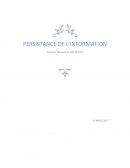 Persistance de l'information