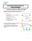 Concepts fondamentaux en endocrinologie