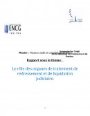 Difficulté des entreprises