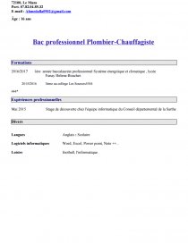 Exemple Cv Couvreur Zingueur