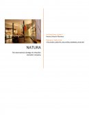 International Strategy of Natura