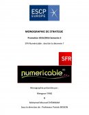 SFR-Numéricable: la fusion d'un point de vue stratégique