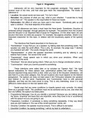 English: pragmatics