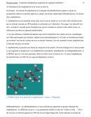 Comment l'amphétamine augmente les capacités cérébrales?