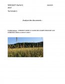 Comment gérer le culpin des champs résistant aux herbicides dans le Loir-et-Cher?