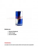 Rapport Redbull