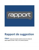 Analyse de la situation actuelle les raisons de la baisse du chiffre d’affaire de l’hôtel « l’Alizé » et les solutions proposées