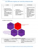 Les droits et obligations liés aux activités professionnels