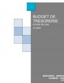 Budget de trésorerie