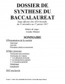 Dossier de synthèse du baccalauréat, stage effectué chez HSA-Incendie