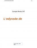 L'Odyssée de l'espèce