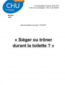 Analyse d'hygiène: sierger ou trôner durant la toilette