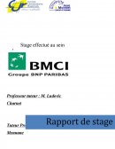 Rapport de stage BMCI