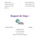 Rapport de stage TSPVL