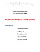 Présentation de logiciel Visual Gigamaint