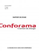 Rapport de stage Conforama