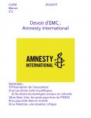 Amnesty international et la pauvreté