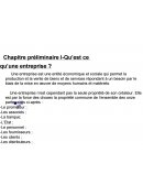 Chapitre préliminaire: qu'est-ce qu'une entreprise?