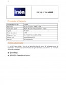 Rapport de stage, LINEA