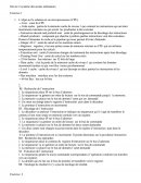 Système des accés utilisateurs