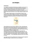 Les nudges