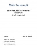 Contrôle budgétaire et gestion budgétaire