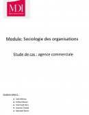 Module: Sociologie des organisations