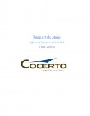 Rapport de stage L3 Cocerto