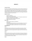 Rapport de stage, redynamisation du rayon Levis