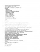 Rapport de stage, Weber Vincent