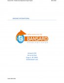 Rapport de stage, Bansard international