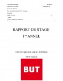 RAPPORT STAGE BUT