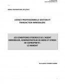 Les conditions d'exercice de l'agent immobilier, administrateur de biens et syndic de copropriété: le mandat