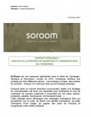 Rapport spécifique, analyse de la stratégie de marketing et communication de l'entreprise