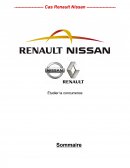 Cas Renault Nissan
