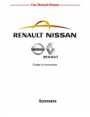 Cas Renault Nissan