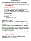 Organisation du système nerveux - Potentiel d'action L2 STAPS