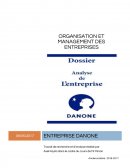 Analyse de management Danone