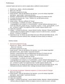 Incipit Eldorado, lecture analytique (plan détaillé)