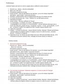 Incipit Eldorado, lecture analytique (plan détaillé)