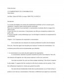 Fiche de lecture sur le comportement du consommateur