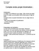 Compte-rendu de projet d'animation