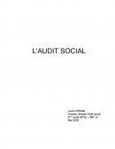 L'audit social